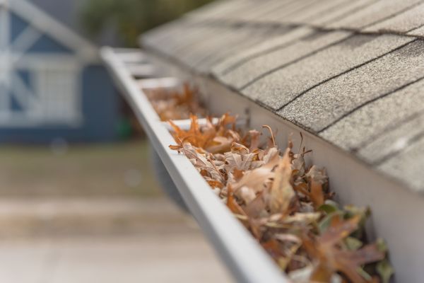 Leaf Barrier Installation in Edmonds